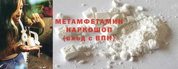 индика Мегион